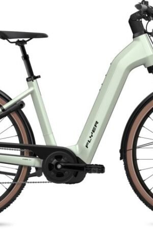 Flyer G1 Gotour 7.12 XC Comfort Frosty