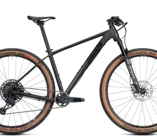 Radon JEALOUS AL 10.0 SL